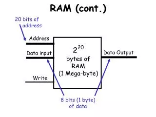 RAM (cont.)
