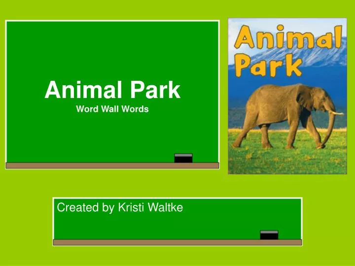 animal park word wall words