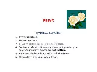 kasvit