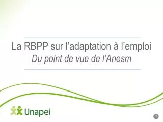 la rbpp sur l adaptation l emploi du point de vue de l anesm