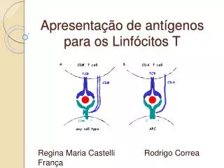apresenta o de ant genos para os linf citos t