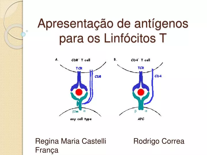 apresenta o de ant genos para os linf citos t