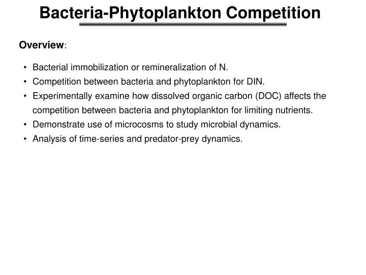 bacteria phytoplankton competition