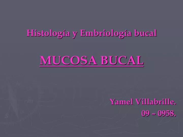 histolog a y embriolog a bucal mucosa bucal