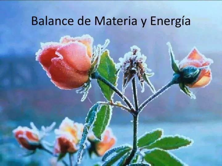 balance de materia y energ a