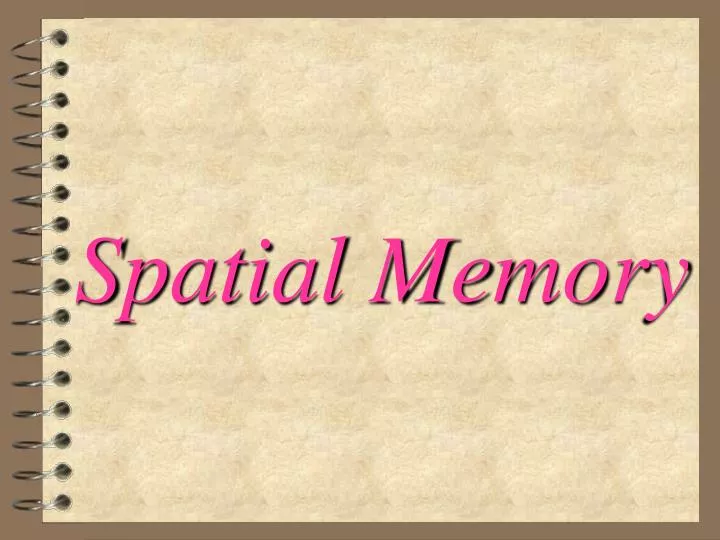 spatial memory