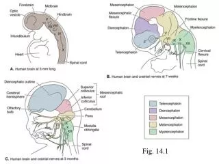 Fig. 14.1