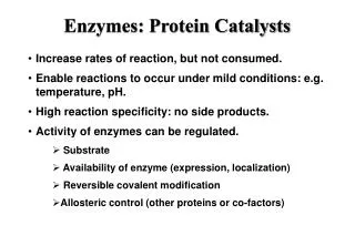 Enzymes: Protein Catalysts