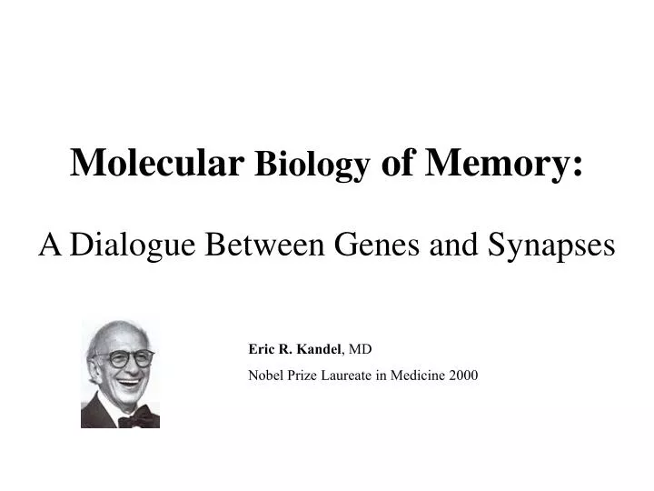 molecular biology of memory