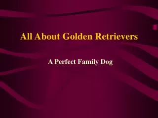 All About Golden Retrievers