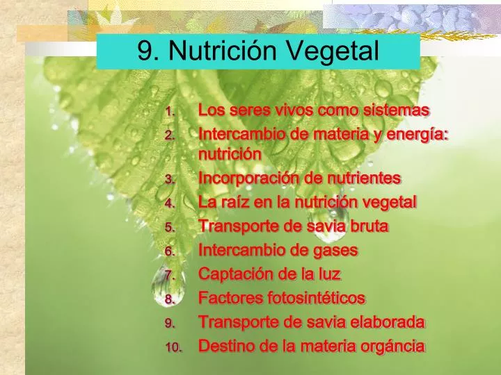 9 nutrici n vegetal