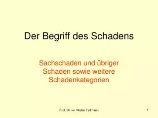der begriff des schadens