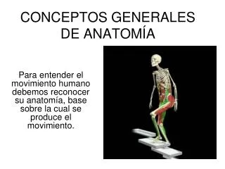 conceptos generales de anatom a