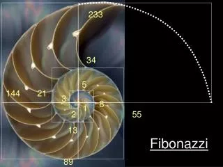 fibonazzi
