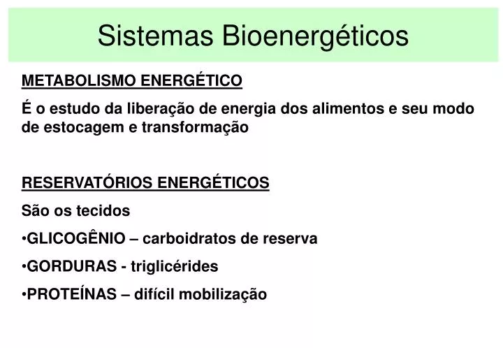 sistemas bioenerg ticos