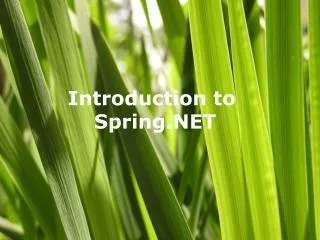 Introduction to Spring.NET