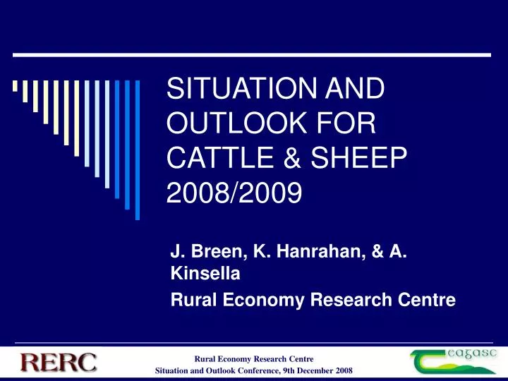 situation and outlook for cattle sheep 2008 2009
