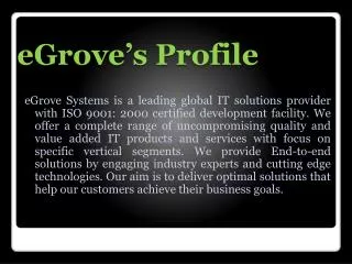 egrove systems company profile
