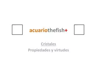 acuario thefish