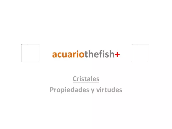 acuario thefish