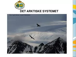 det arktiske systemet