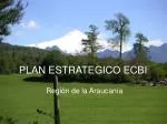 PLAN ESTRATEGICO ECBI - slide 1