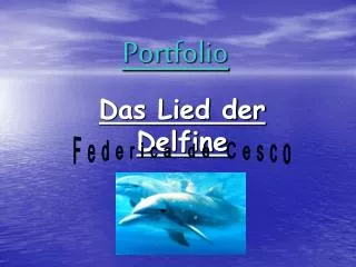 portfolio