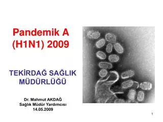 Pandemik A (H1N1) 2009