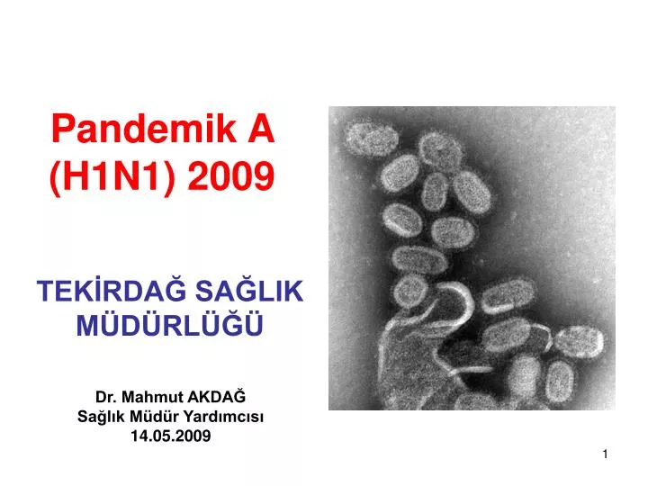 pandemik a h1n1 2009