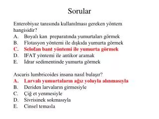 sorular
