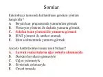 Sorular - slide 1