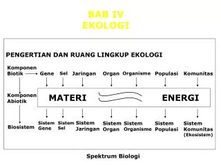 BAB IV EKOLOGI