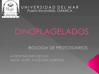 dinoflagelados