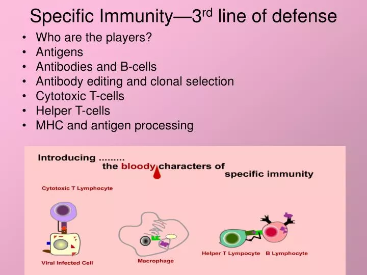 specific immunity 3 rd line of defense