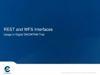 REST and WFS Interfaces