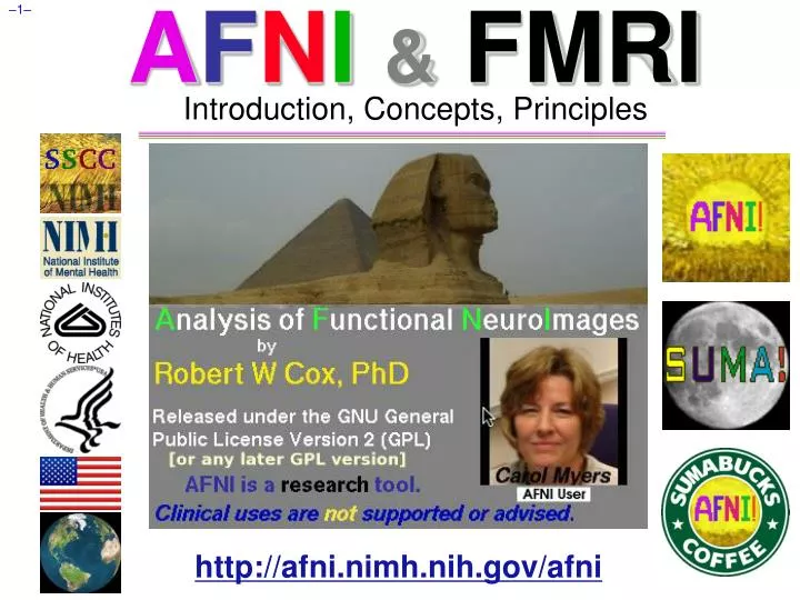 a f n i fmri introduction concepts principles