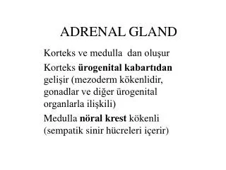 PPT - Navigating Challenges Arising from Adrenal Gland Dysfunction ...