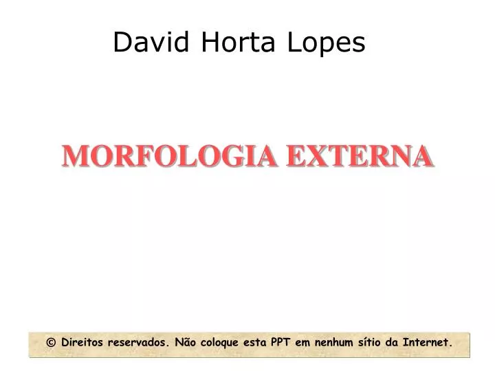 morfologia externa