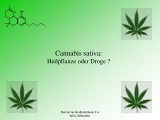 Cannabis sativa: Heilpflanze oder Droge ?