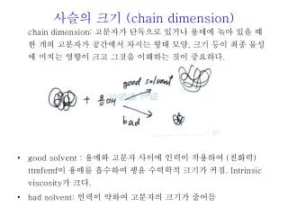 chain dimension