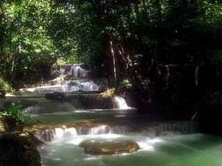 Observe a cachoeira
