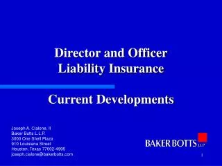 Director and Officer Liability Insurance Current Developments
