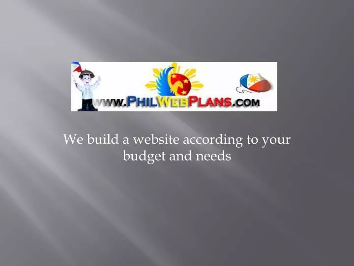 we build a website according to your budget and needs