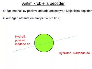Antimikrobiella peptider