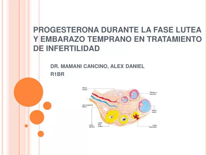 progesterona durante la fase lutea y embarazo temprano en tratamiento de infertilidad