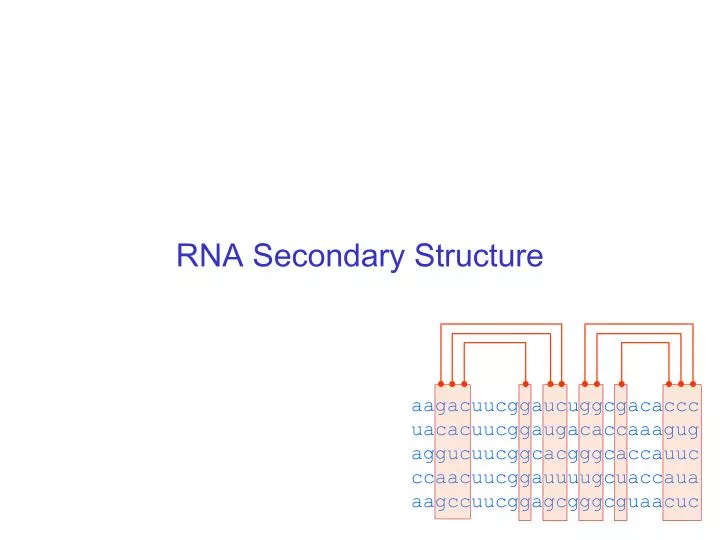 rna secondary structure