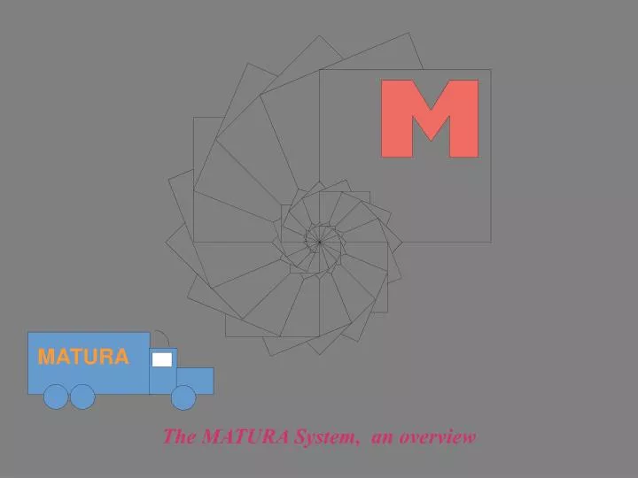 the matura system an overview