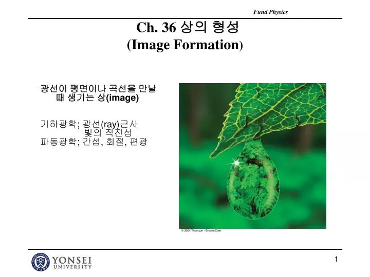 ch 36 image formation