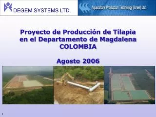 proyecto de producci n de tilapia en el departamento de magdalena colombia agosto 2006