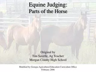 Equine Judging: Parts of the Horse